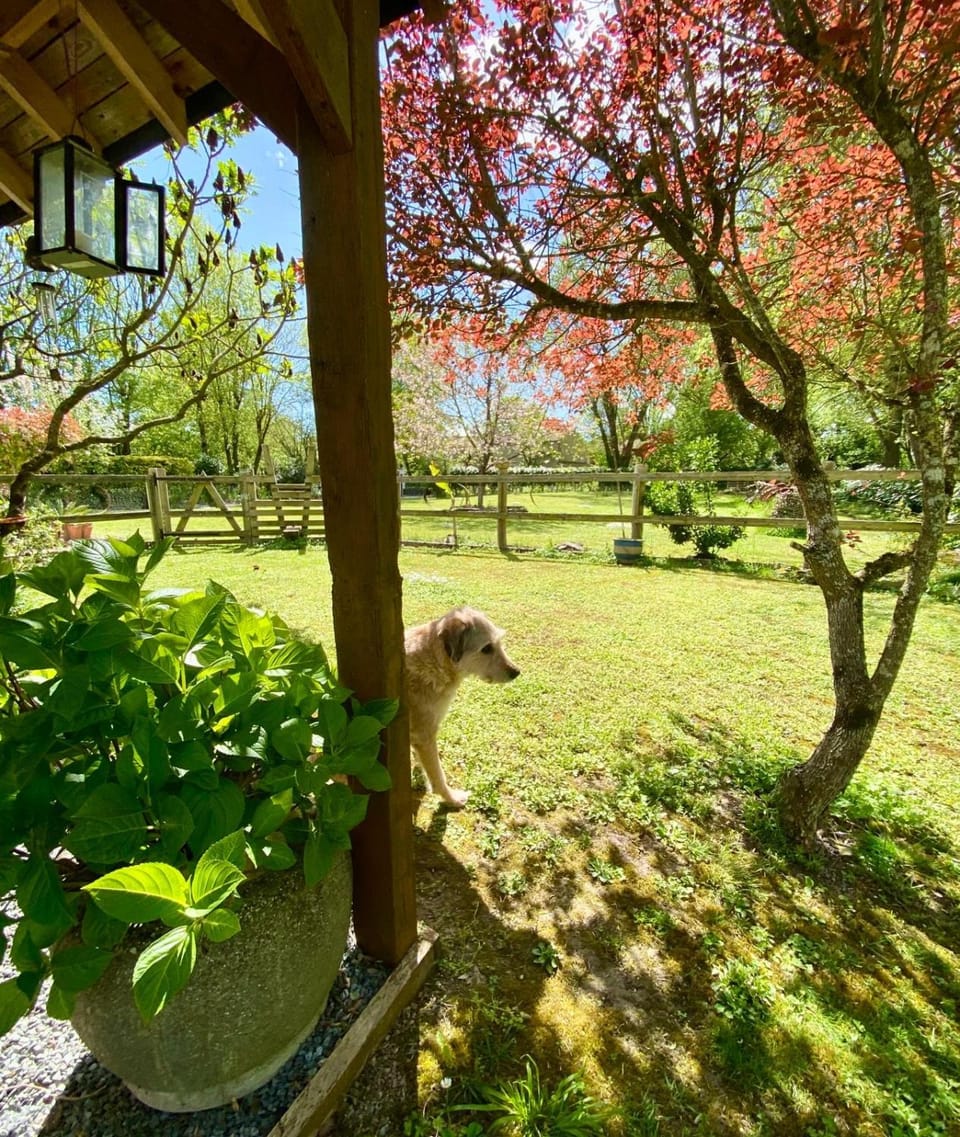 Spring, Day, Natural landscape, Garden