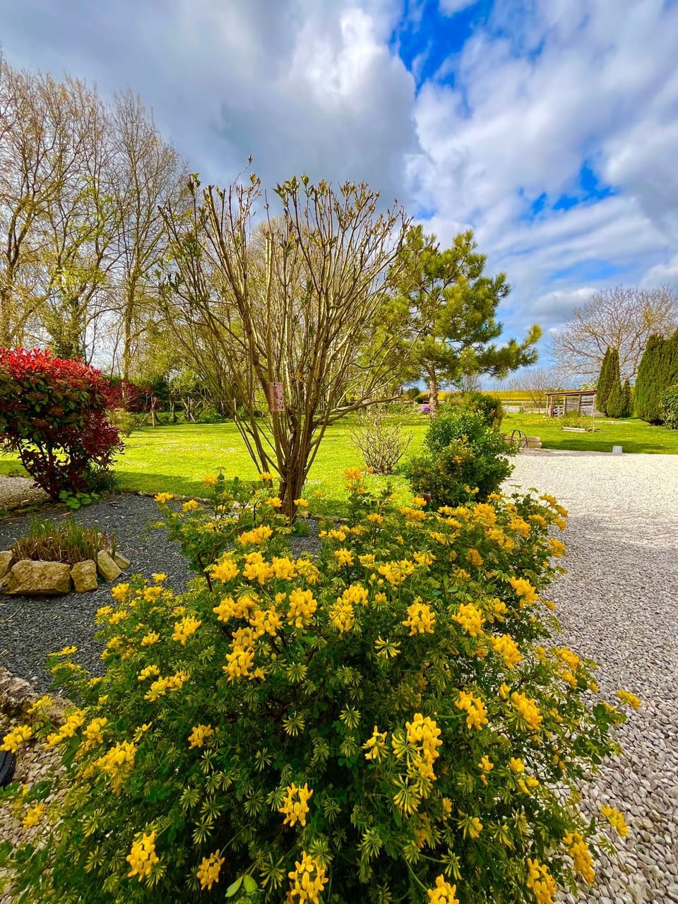Spring, Natural landscape, Garden, Garden view
