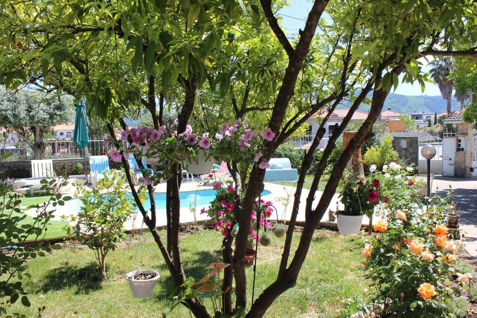 Garden view, Pool view