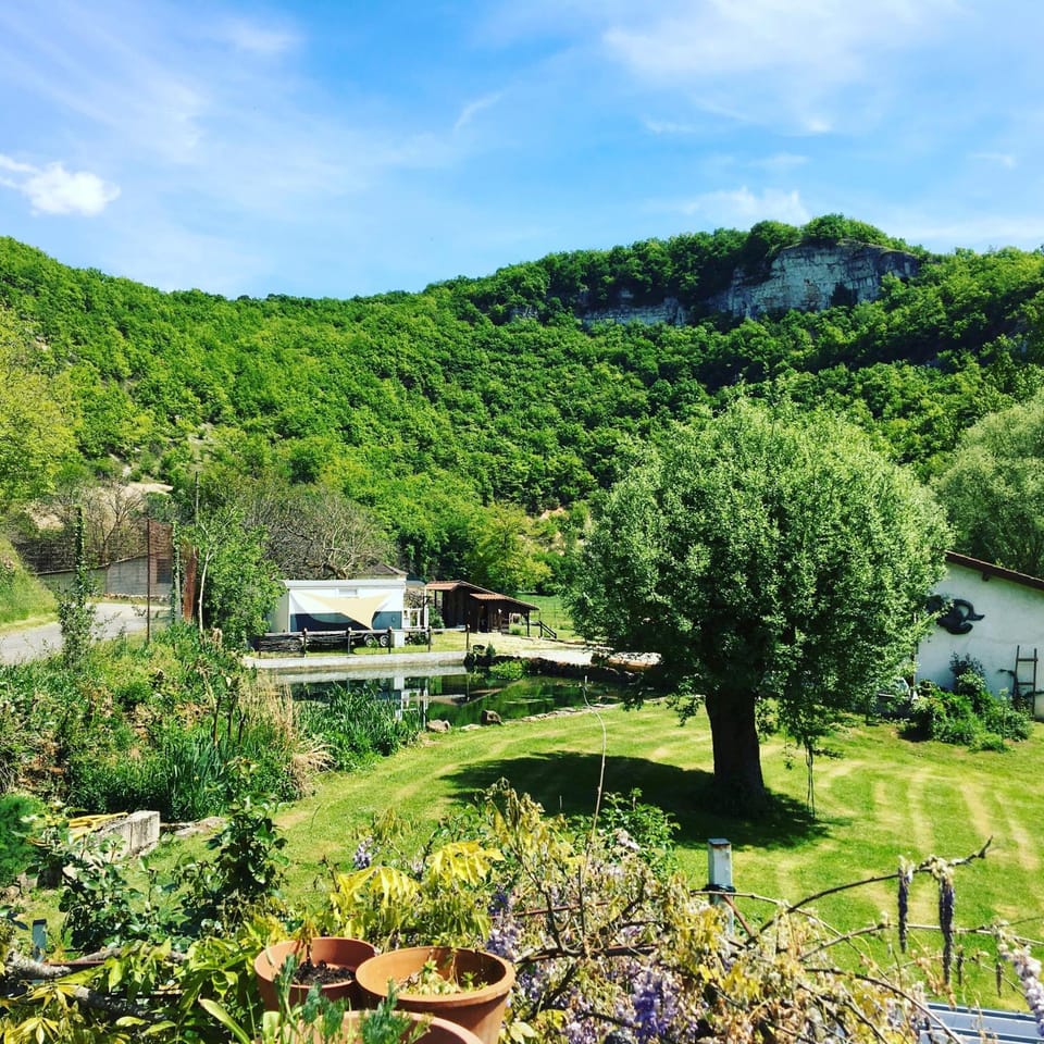 Garden, Mountain view