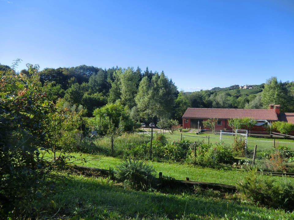 View (from property/room), Garden view