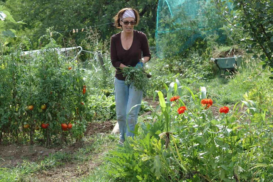 Staff, Activities, Garden, Family