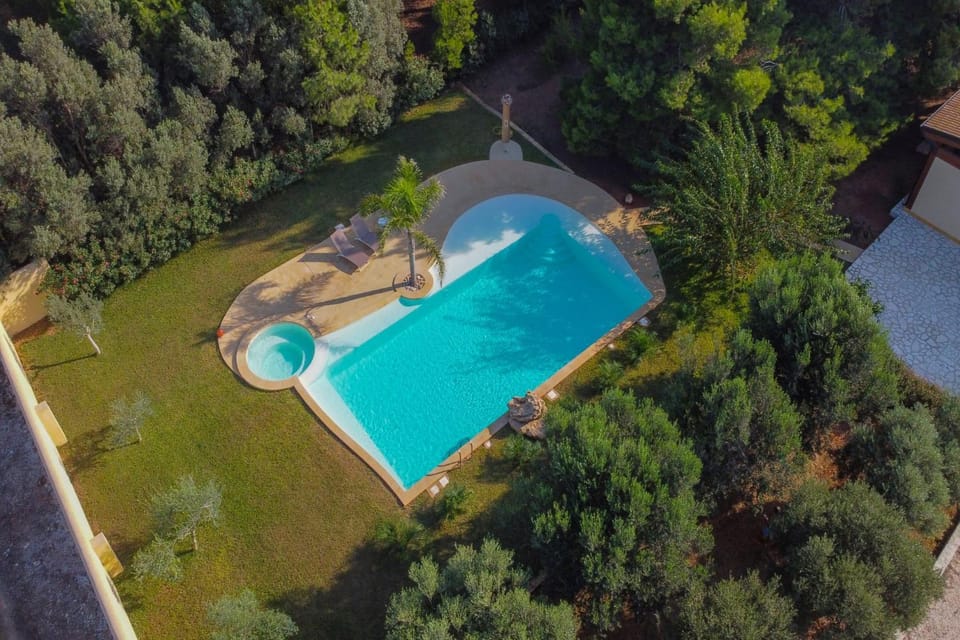Shower, Patio, Patio, Bird's eye view, Garden, Garden, Garden view, Garden view, Pool view, Pool view, Street view, Swimming pool, Swimming pool, Quiet street view, Inner courtyard view