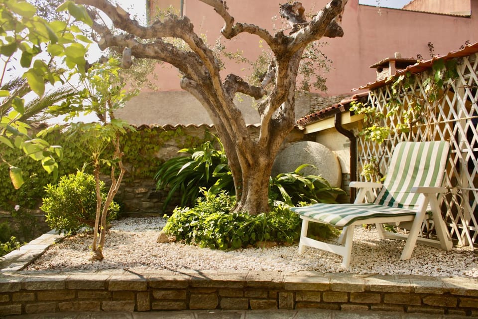 Patio, Garden