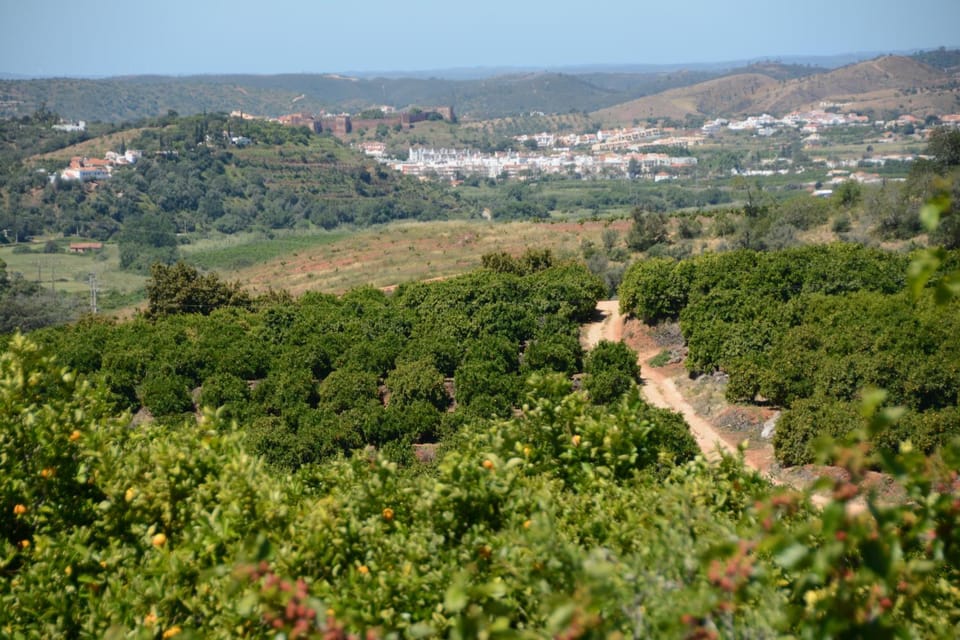 Neighbourhood, Natural landscape