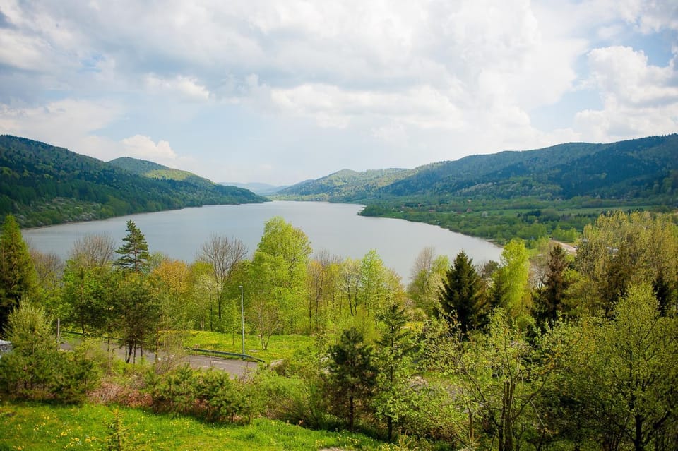 Lake view