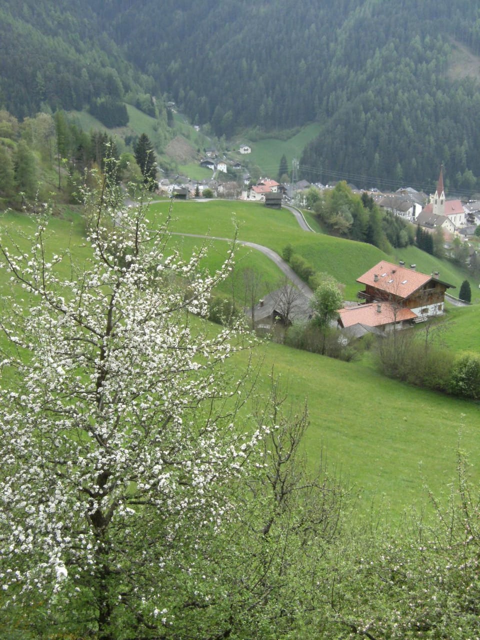 View (from property/room)