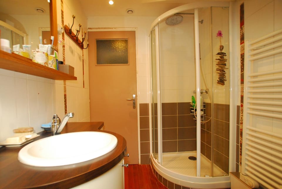 Shower, Toilet, Bathroom, towels