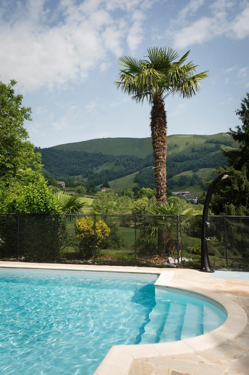 Garden, Swimming pool