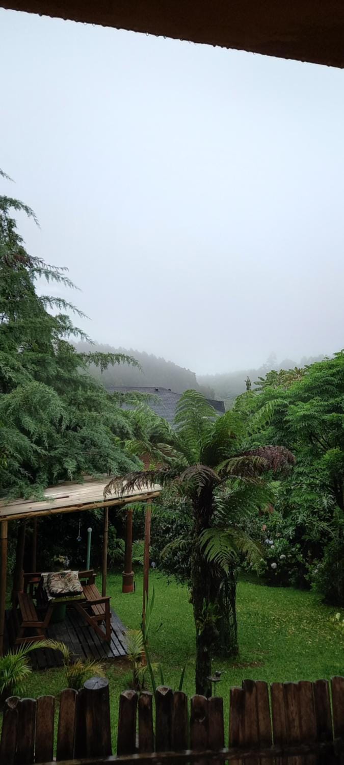 Natural landscape, Garden, Garden view