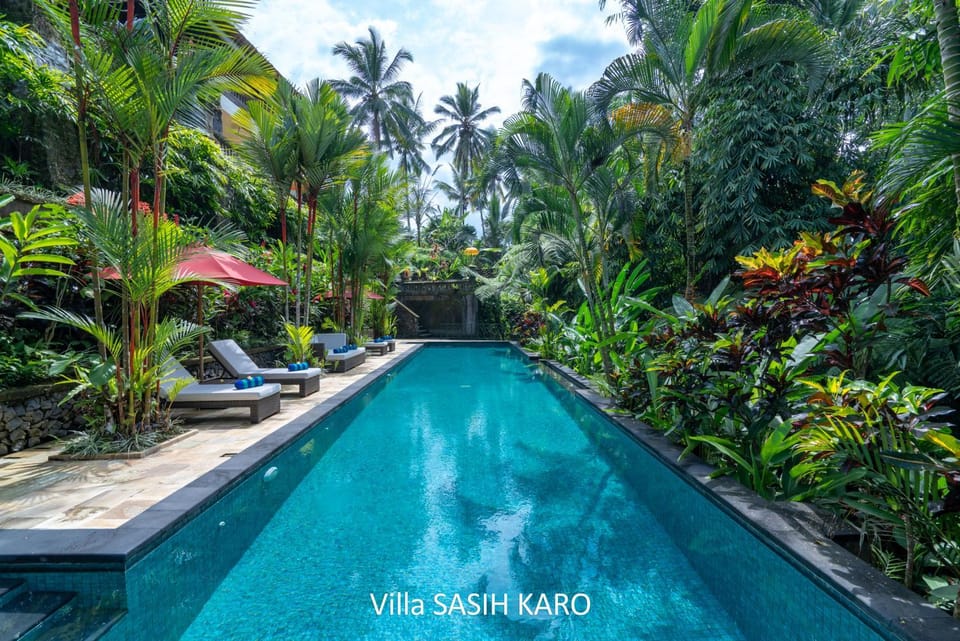 Swimming pool, Swimming pool