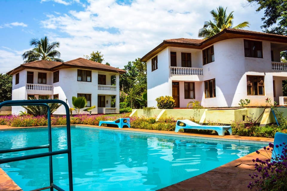 Area and facilities, Swimming pool