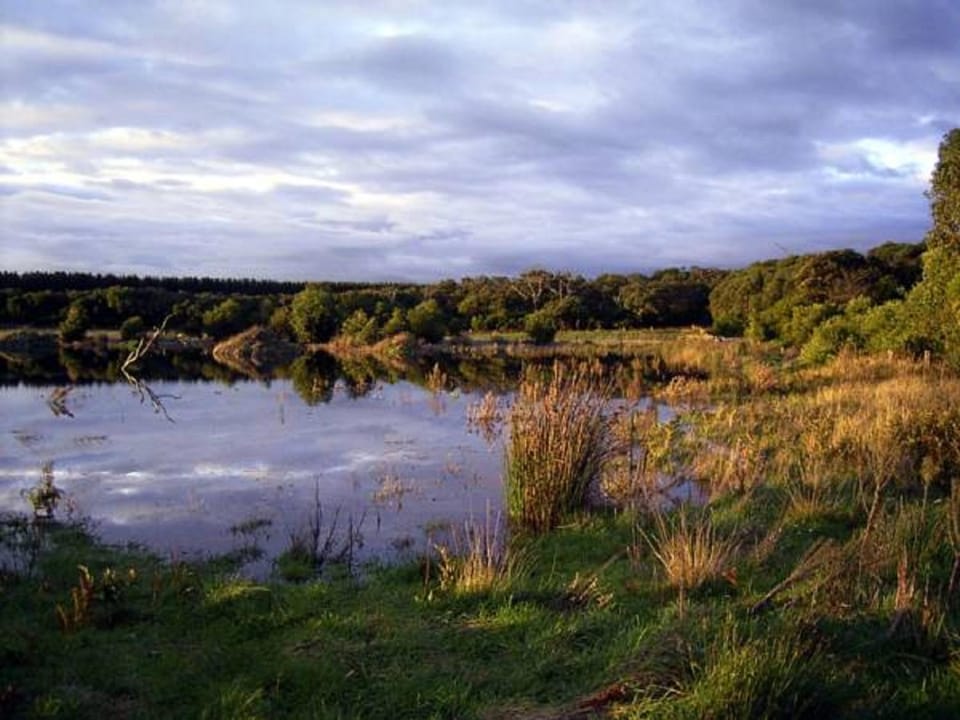 Nearby landmark, Lake view