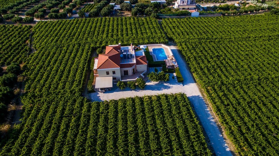 Day, Natural landscape, Bird's eye view, Summer, On site