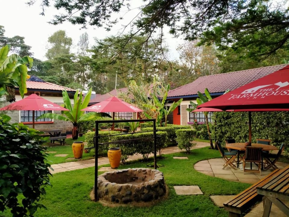 Natural landscape, Garden, Garden view