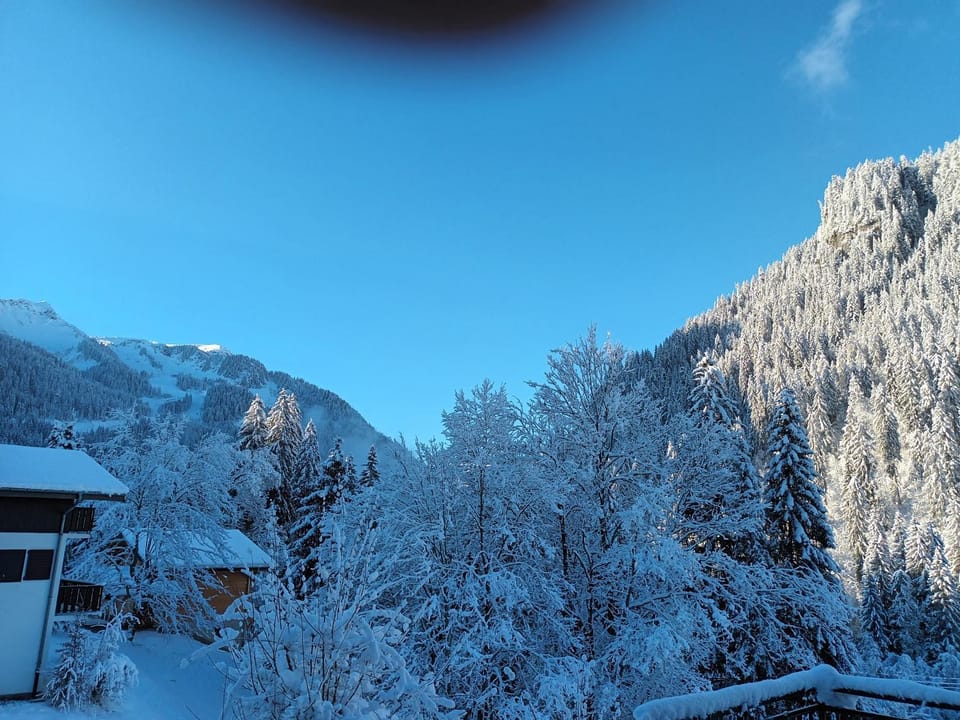 Le Chardon Bleu Apartment in Châtel