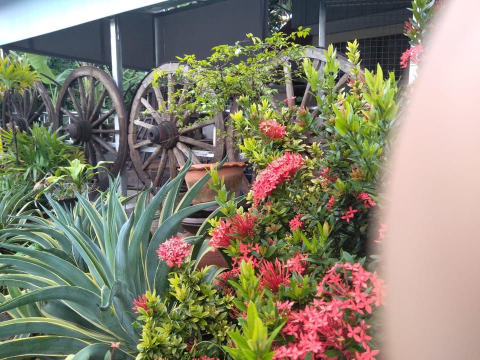 Ban Khun Rin Homestay Vacation rental in Thailand
