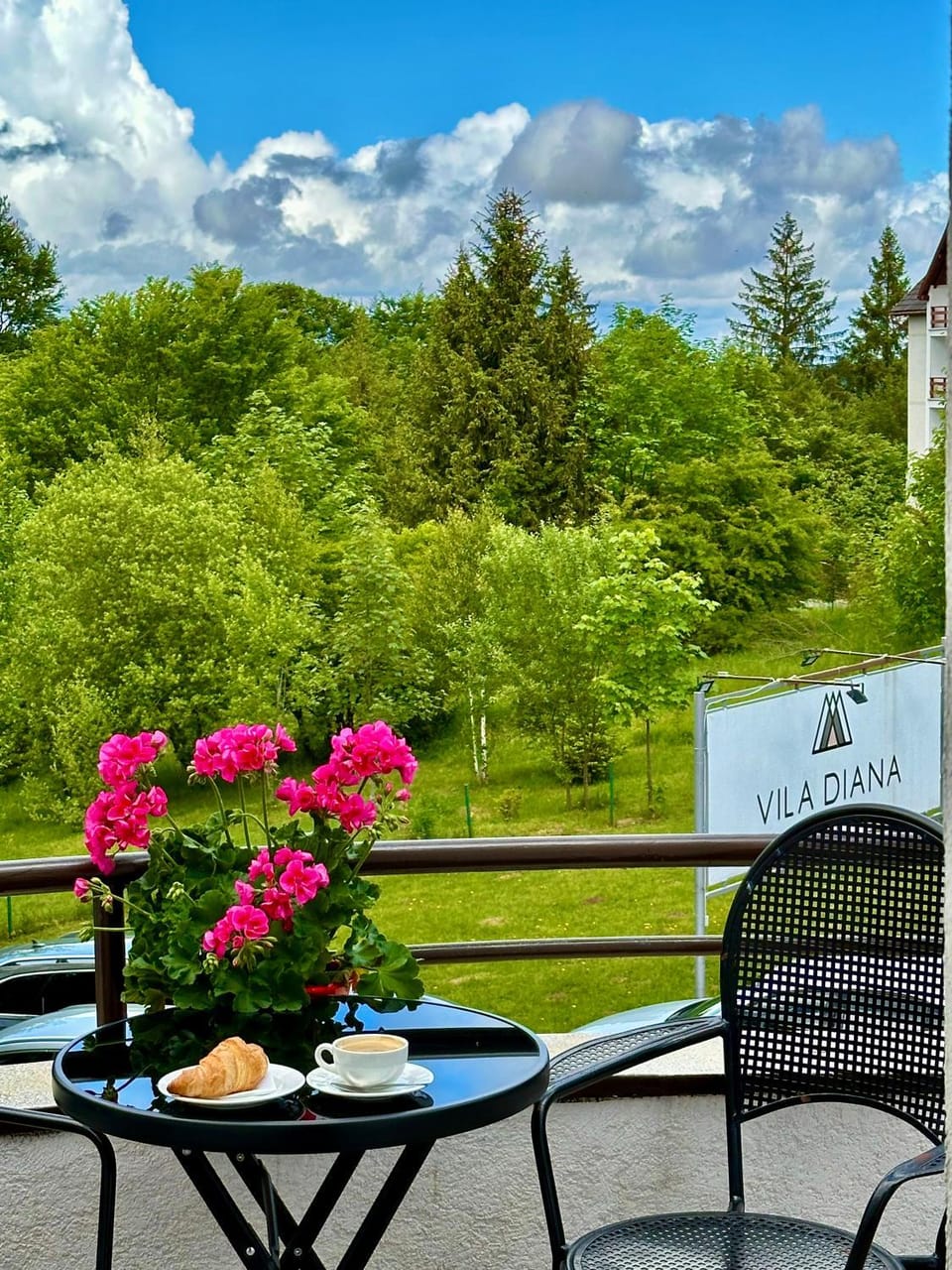 Vila Diana - Poiana Brasov with breakfast optional at hotel Simona Halep Bed and Breakfast in Brasov