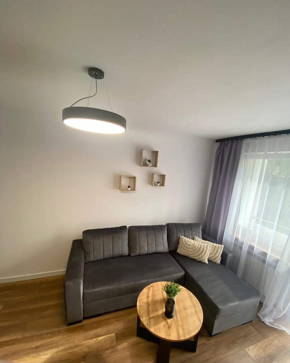 Apartamenty Słoneczna Chata Apartment in Zakopane