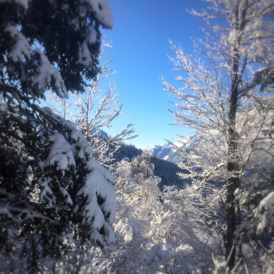 Natural landscape, Winter