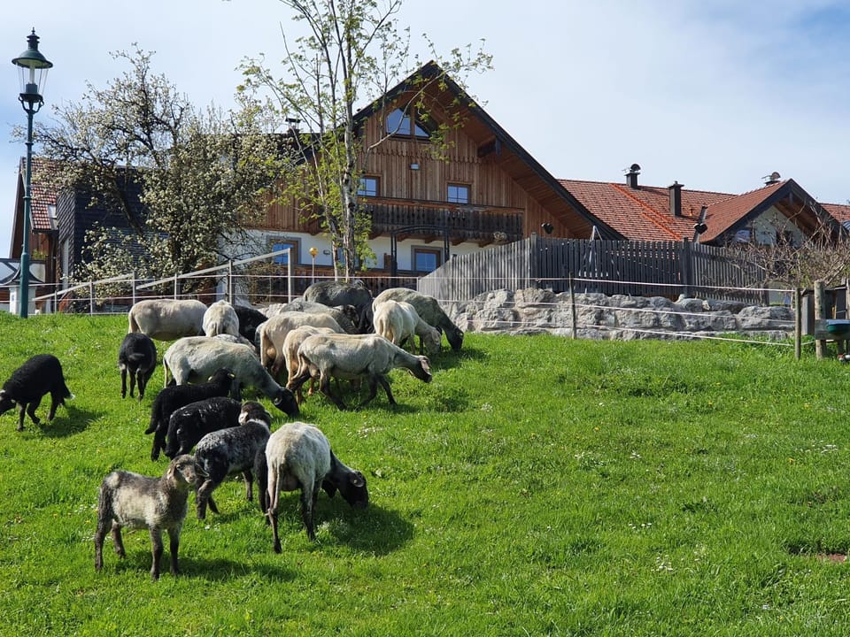 Bramsauerhof Apartment in Salzburgerland