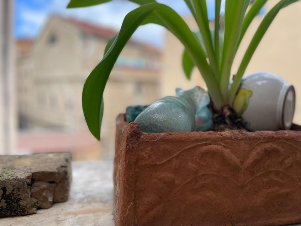 Balcony/Terrace, City view
