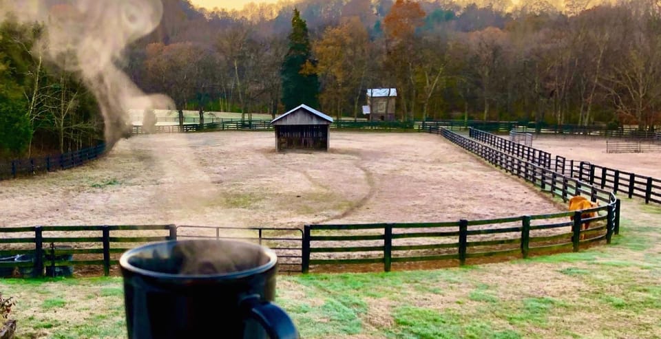 View (from property/room), Autumn