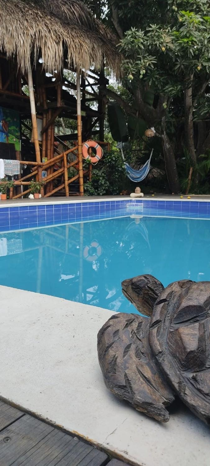 La Natura Hostel & Pool Hostel in Palomino