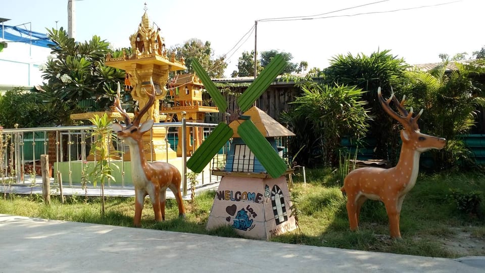 Area and facilities