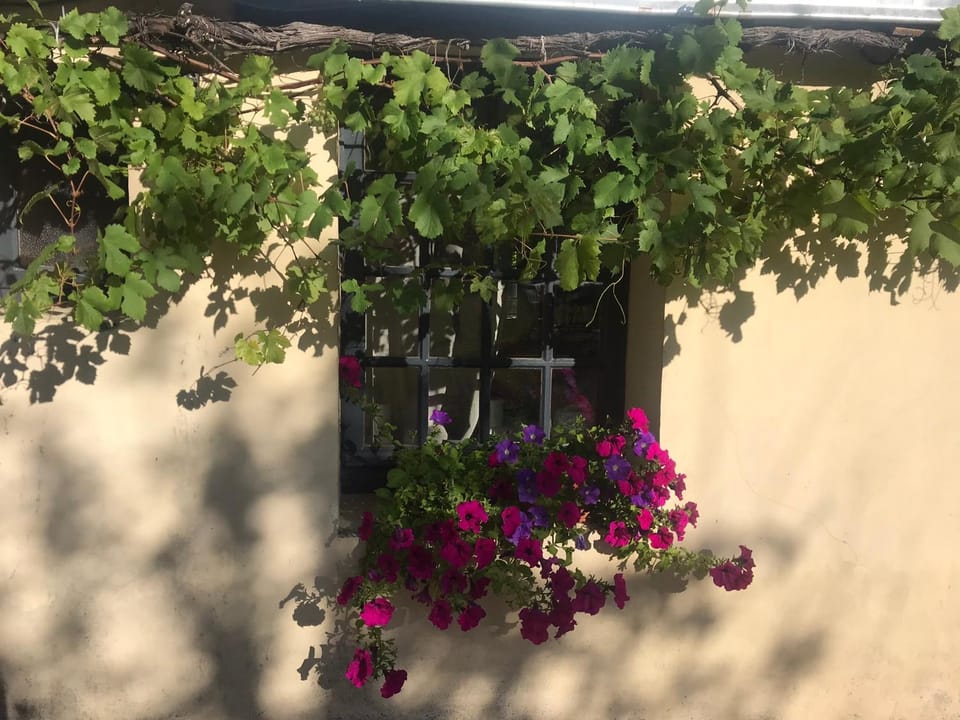 La Vigne Bed and Breakfast in Centre-Val de Loire