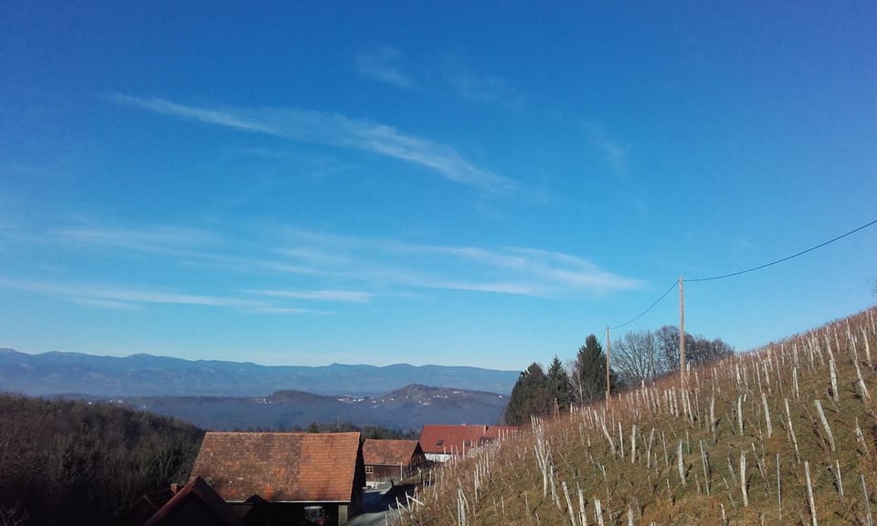 View (from property/room), Garden view, Mountain view