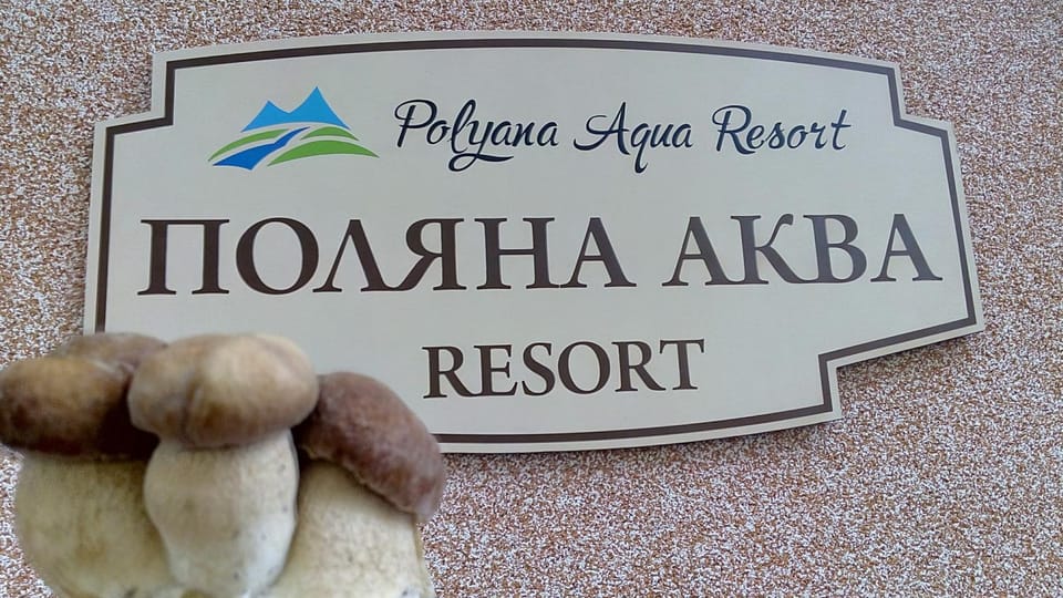 Logo/Certificate/Sign