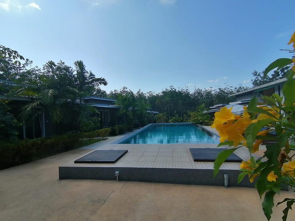 Other, Pool view