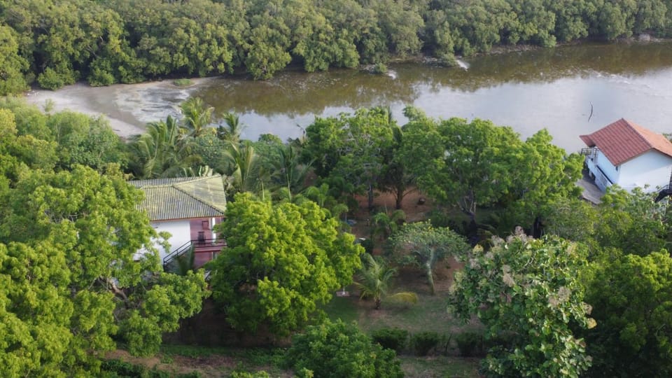 Bird's eye view, Lake view