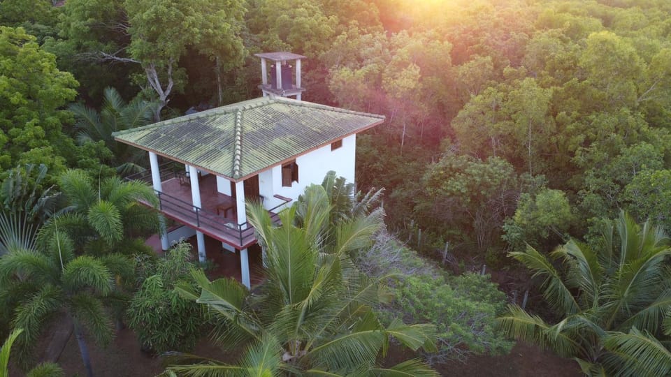 Property building, Bird's eye view