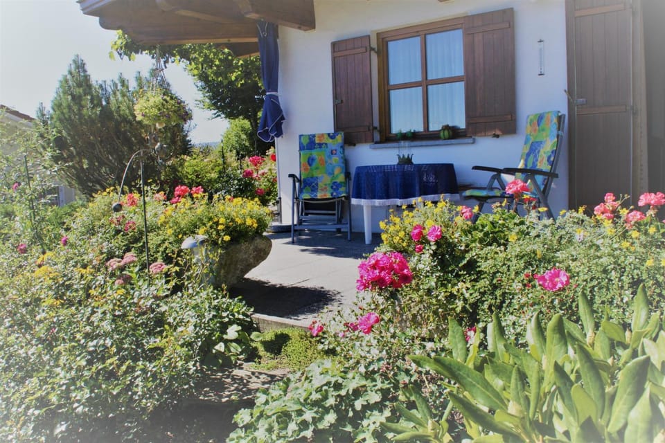 Garden, Balcony/Terrace