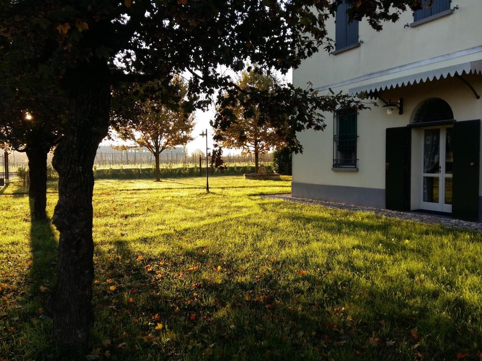 Garden view