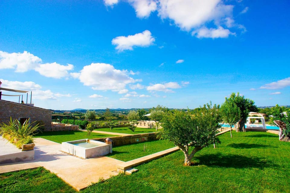 Patio, Garden, Swimming pool