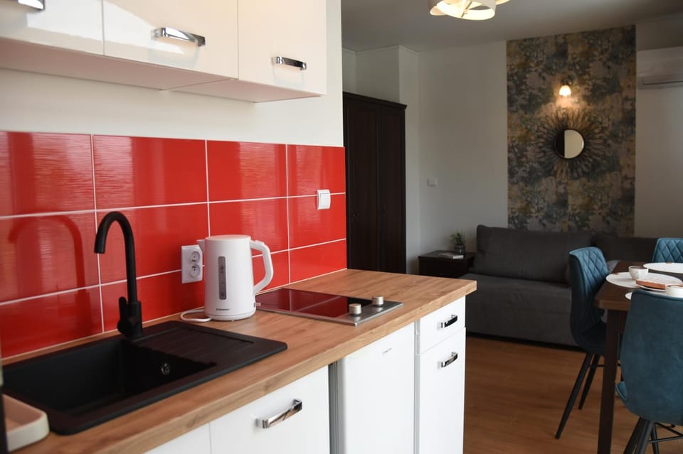 Nestor Centrum Vacation rental in West Pomeranian Voivodeship, Poland