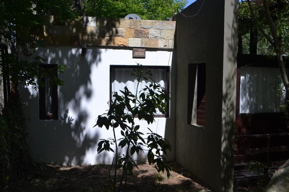 Patio, Garden