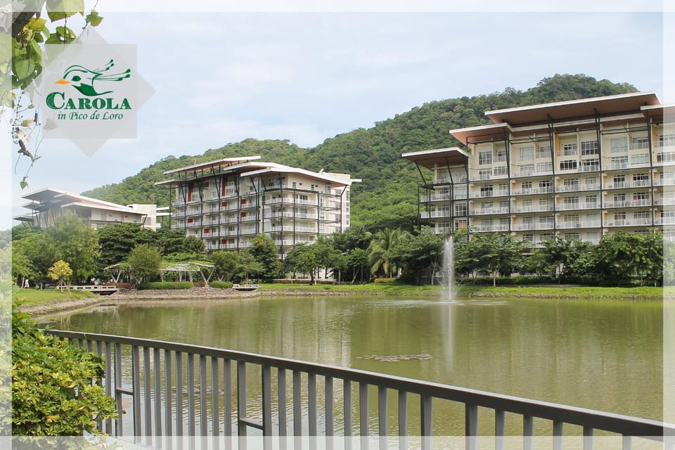 Lake view