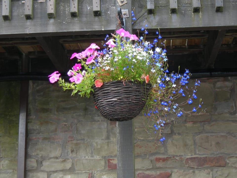 Decorative detail, On site