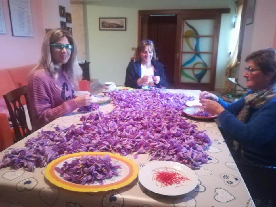 Activities