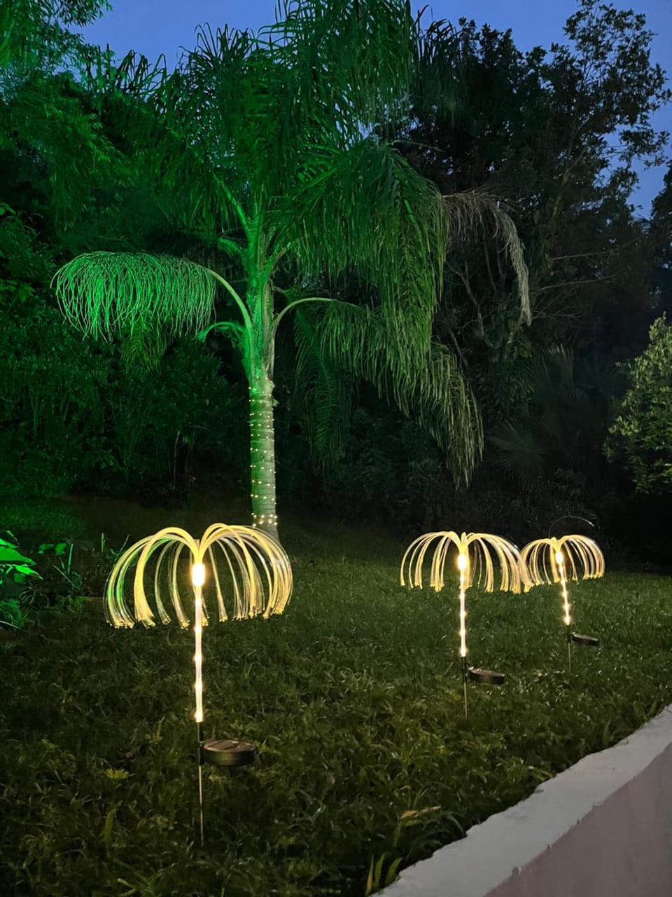 Casa Figueira na Pedra - SPA Suites Bed and Breakfast in Florianopolis