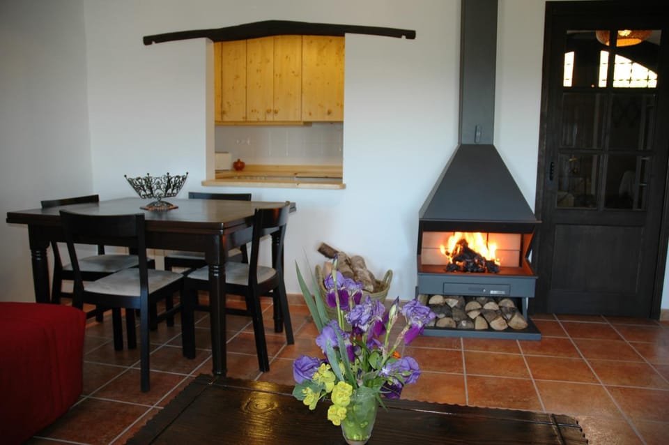 Dining area, fireplace