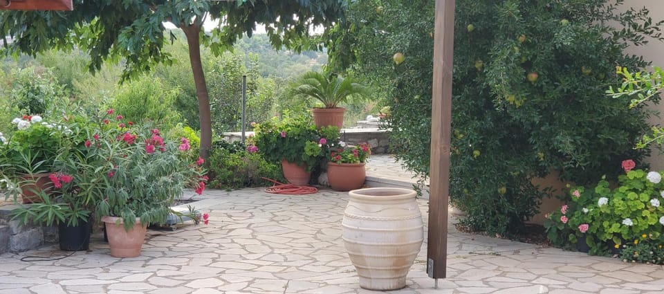 Garden, Balcony/Terrace