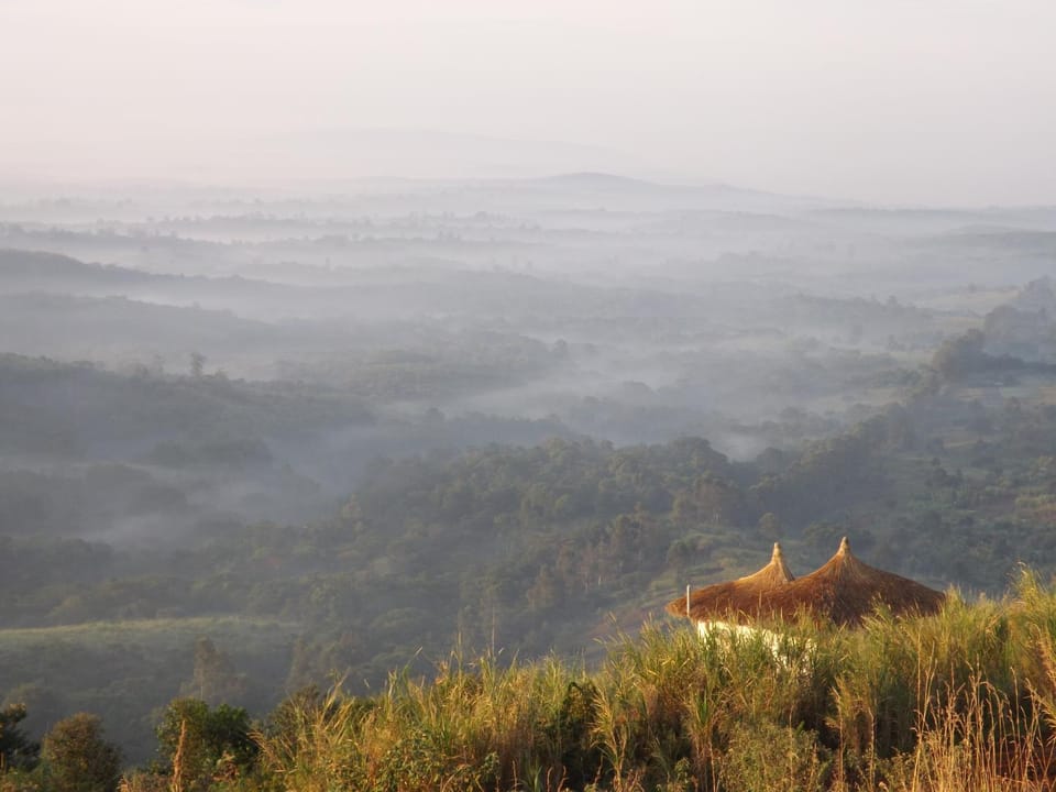 Mountain view