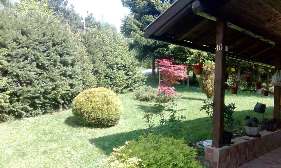 Apartmani Nais Zlatibor Apartment in Zlatibor