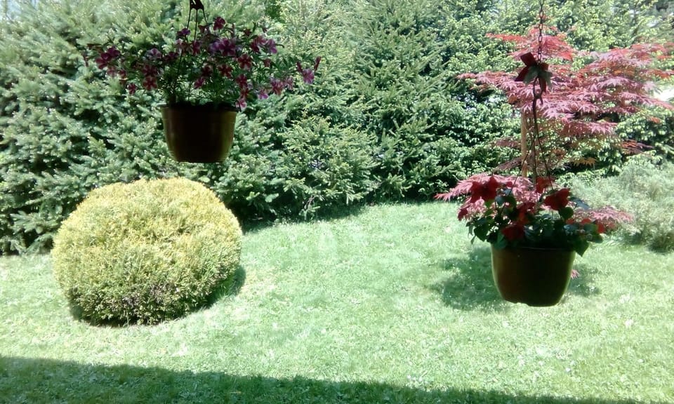 Apartmani Nais Zlatibor Apartment in Zlatibor