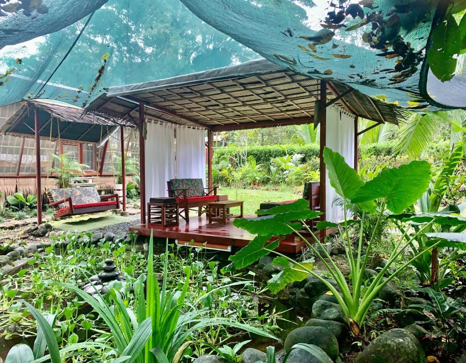 Garden, Balcony/Terrace